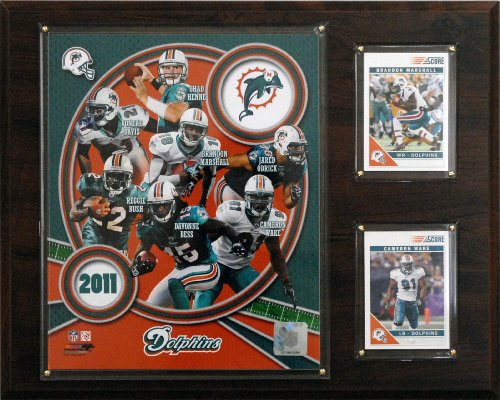 NFL Miami Dolphins 2011 Team Plaque