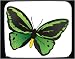 Mouse Pad with birdwing, insect, butterfly Image