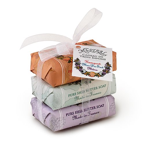 Mistral Soap Pack with a Bow  3   100 g paper wrapped soaps Kumquat Pink Grapefruit  South Seas  Wild Blackberry
