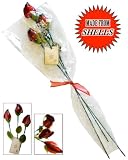515if7ZMAvL. SL160  Seashell Red Roses Gift Bouquet   Wrapped & Ribbon Tied Flowers