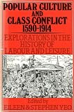 Popular culture and class conflict 1590-1914 : explorations in the history of labour and leisure