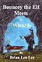 Bouncey the Elf Meets a Wizard