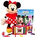 Kara Nessian Disney Minnie Mouse Coloring Books Gift Set- Big Sister