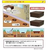 ��������ϥ󥿡���6����/���ۤ�/������/�ץ쥼���/�Х�󥿥���/��ǯ��/´�Ƚˤ�