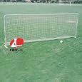 Kwik Goal Coaching Intermediate Replacement