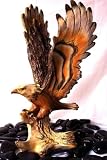 Eagle Landing On Log - Wood Look