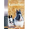Kaninchen: Artgerecht halten, pflegen und verstehen