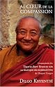 Au coeur de la compassion : Commentaire des Trente-Sept Stances sur la pratique des bodhisattvas