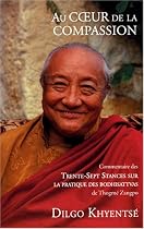 Au coeur de la compassion : Commentaire des Trente-Sept Stances sur la pratique des bodhisattvas