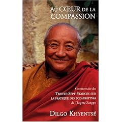 Au coeur de la compassion : Commentaire des Trente-Sept Stances sur la pratique des bodhisattvas
