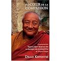 Au coeur de la compassion : Commentaire des Trente-Sept Stances sur la pratique des bodhisattvas