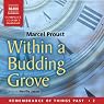 Within a Budding Grove: Remembrance of Things Past, Volume 2