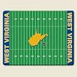 Large Cutting Board ~ Univ West Virginia ~ made of tempered glass ~ code 920