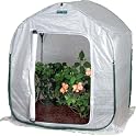 5-ft PlantHouse Greenhouse