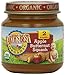Earth's Best Organic Stage 2 Baby Food, Apple and Butternut Squash, 4 oz. Jar