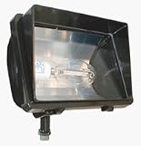 Future Flood, 150 Watt High Pressure Sodium with Lamp