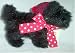 Enesco Mary Engelbreit Henry The Scottie Image