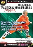Shaolin Seven-star Mantis Quan (White Ape Offering Fruit) _ by Guangzhou Beauty Culture Communication Co.Ltd