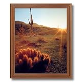 Framed Oak Southwestern Cactus Sunset Landscape Picture Art Print