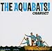 Aquabats-Charge!!