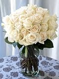 Send Fresh Cut Flowers - 25 Long Stem White Roses