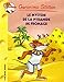 Geronimo Stilton T14 Le Mystère de la pyramide de fromage