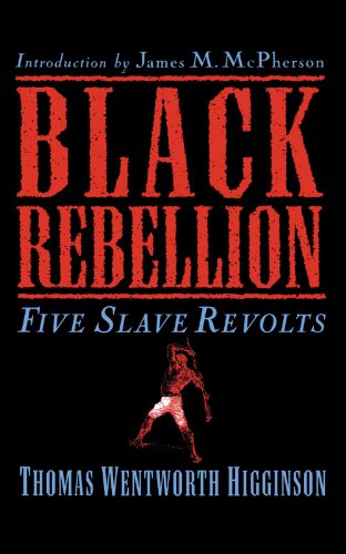 black rebellion five slave revolts