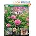 Herbs (Simple Steps) (SIMPLE STEPS TO SUCCESS)