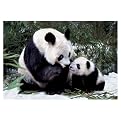Pandas 1,000-pc. Puzzle
