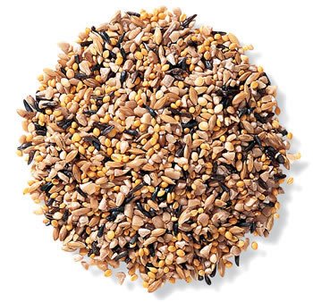 Duncraft Fancy Finch Mix