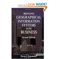 Bringing Geographical Information Systems into Business