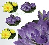 FOUR 9" Floating Water Lily Silk Flowers Yellow and Purple