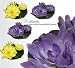 FOUR 9" Floating Water Lily Silk Flowers Yellow and Purple