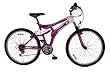 Universal Comet 26 15 Speed Ladies Mountain Bike
