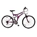 Universal Comet 26" 15 Speed Ladies Mountain Bike