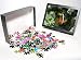 Photo Jigsaw Puzzle of Black Anemonefish from Danita Delimont
