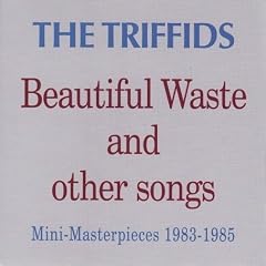 Beautiful Waste and Other Songs