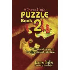 The ChessCafe Puzzle Book 2: Test and Improve Your Positional Intuition