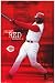 Cincinnati Reds - Sports Poster - 22 x 34