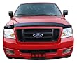 Lund 18470 Interceptor Smoke Wrap-Around Bug Shield