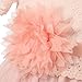 Richie House Little Big Girls' Dress with Tulle Skirt and Flower Accent Size 2-12