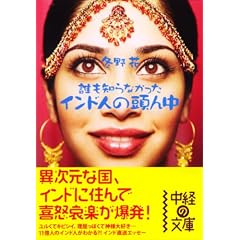 インド人の頭ん中 (中経の文庫)