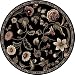Home Dynamix Optimum 11029-450 Polypropylene 7-Feet 10-Inch by 7-Feet 10-Inch Round Area Rug, Black