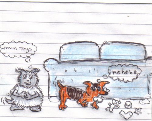Diary of a Menopausal Woman - Cheryl Reid