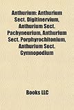 Anthurium Introduction: Anthurium Sect. Digitinervium, Anthurium Sect. Pachyneurium, Anthurium Sect. Porphyrochitonium-