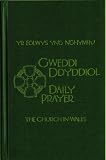 Y llyfr gweddi gyffredin i'w arfer yn yr Eglwys yng Nghymru : gweddi ddyddiol yn cynnwys trefn gwasanaethau ychwanegol o dan y teitl Boreol a hwyrol weddi 2009 a awdurdodwyd gan Gorff Llywodraethol yr