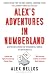 Alex's Adventures in Numberland