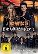 Die wilden Kerle 5 - Hinter dem Horizont