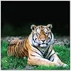 Visit This External Website