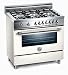 Bertazzoni : Professional X365GGVBI 36
